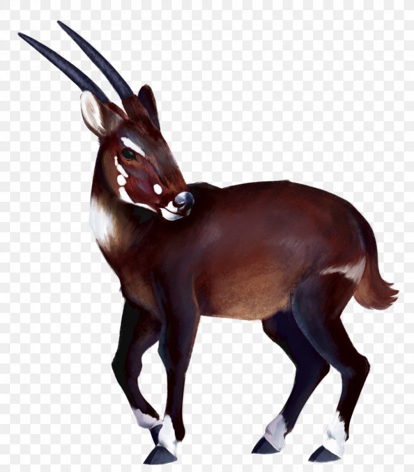 Gemsbok Antelope Deer Horse Saola, PNG, 1000x1141px, Gemsbok, Animal, Animal Figure, Antelope, Cow Goat Family Download Free