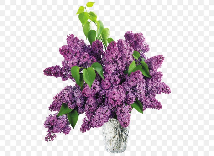 Common Lilac Vase Clip Art, PNG, 512x600px, Common Lilac, Color, Cut Flowers, Flower, Flower Bouquet Download Free