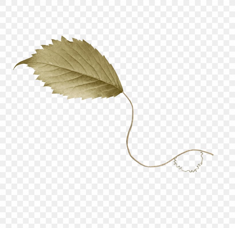 Drawing Leaf Clip Art, PNG, 2597x2519px, Drawing, Advertising, Art, Autumn, Brown Download Free