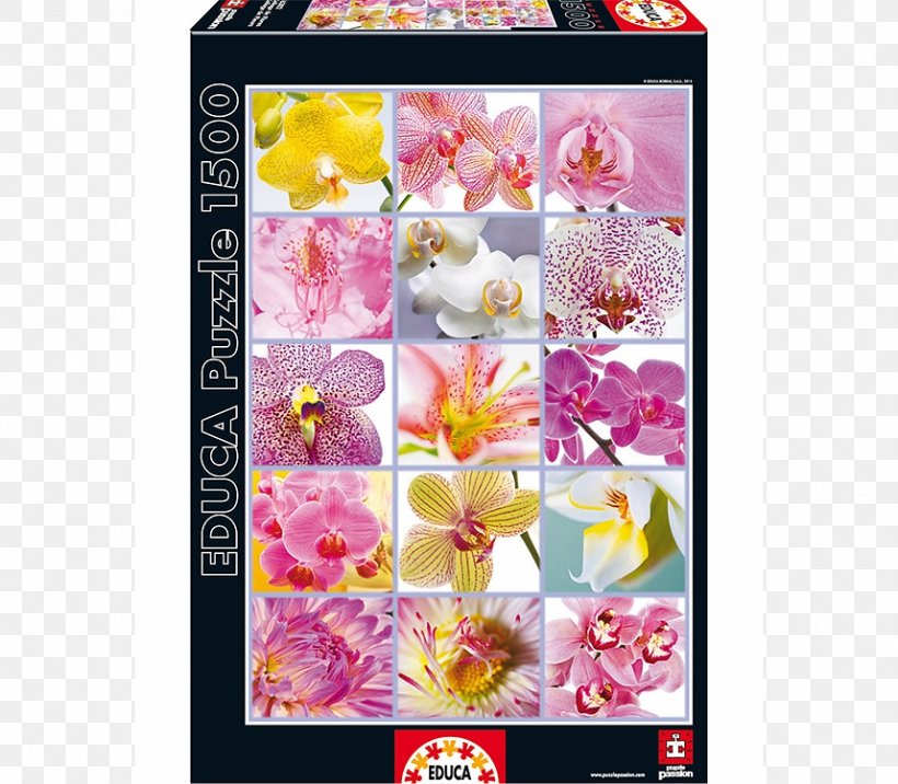 Jigsaw Puzzles Flower Bouquet Educa Borràs Toy, PNG, 858x750px, Jigsaw Puzzles, Collage, Flora, Floral Design, Flower Download Free