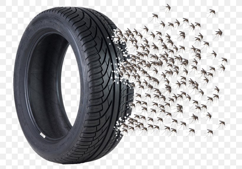 Tread Yellow Fever Mosquito Tire Dengue, PNG, 1024x715px, Tread, Auto Part, Automotive Tire, Automotive Wheel System, Campanha Do Agasalho Download Free