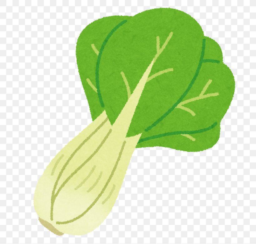 Leaf Vegetable Bok Choy Chinese Cabbage Chinese Cuisine, PNG, 728x781px, Leaf Vegetable, Bok Choy, Chinese Cabbage, Chinese Cuisine, Cuisine Download Free