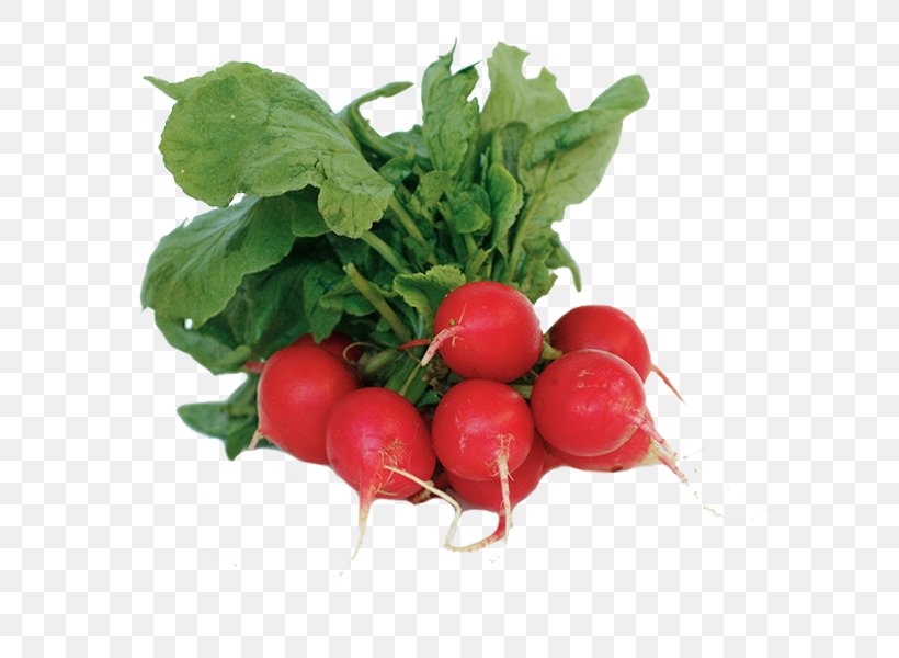 Organic Food Leaf Vegetable Salad, PNG, 600x600px, Organic Food, Beet, Beetroot, Bush Tomato, Daikon Download Free