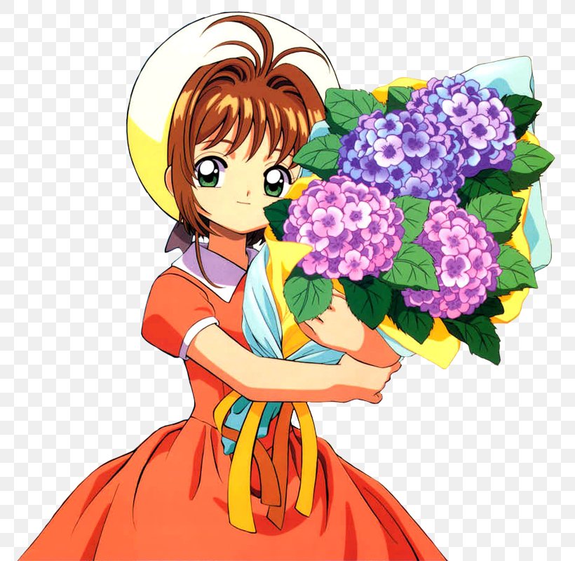 Sakura Kinomoto Tomoyo Daidouji Yukito Tsukishiro Toya Kinomoto Cardcaptor Sakura: Clear Card, PNG, 796x800px, Watercolor, Cartoon, Flower, Frame, Heart Download Free