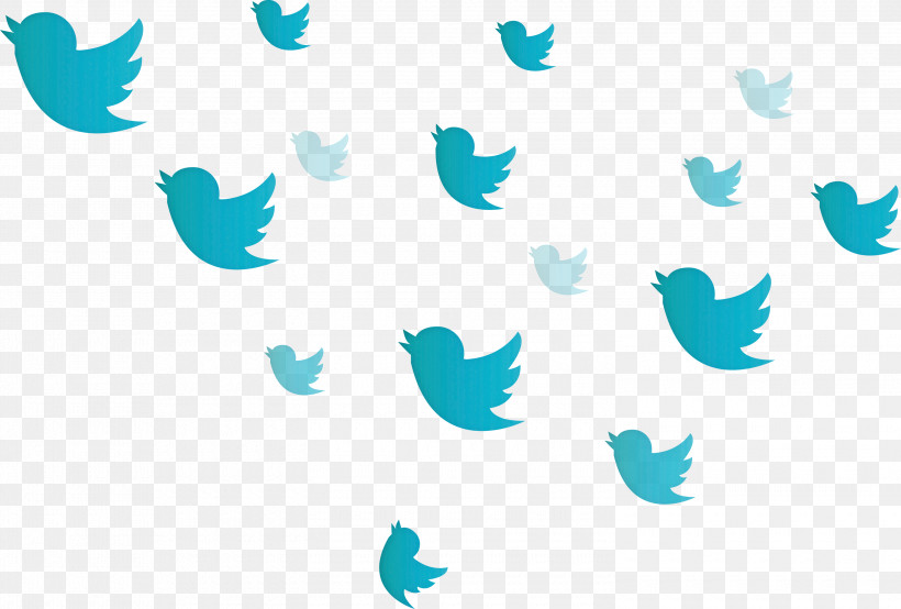 Twitter Flying Birds Birds, PNG, 3000x2027px, Twitter, Aqua, Birds, Flying Birds, Teal Download Free