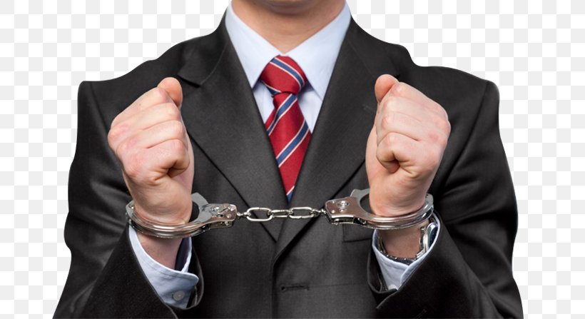 United States Criminal Defense Lawyer Criminal Law White-collar Crime, PNG, 676x447px, United States, Bail, Bail Bondsman, Business, Businessperson Download Free