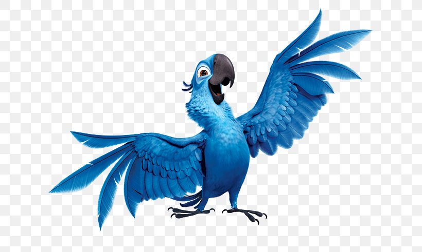 Blu Jewel Nigel Rio De Janeiro Clip Art, PNG, 648x491px, Blu, Beak, Bird, Character, Common Pet Parakeet Download Free