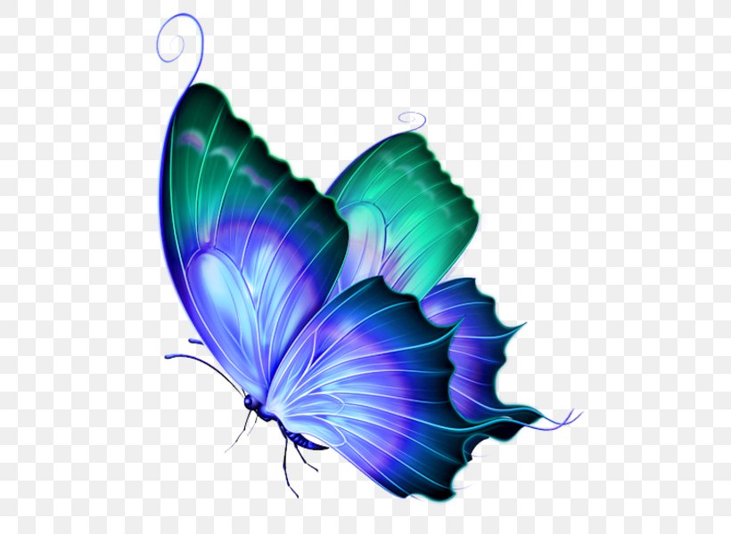 Butterfly Clip Art, PNG, 511x600px, Butterfly, Arthropod, Blue, Bluegreen, Cdr Download Free