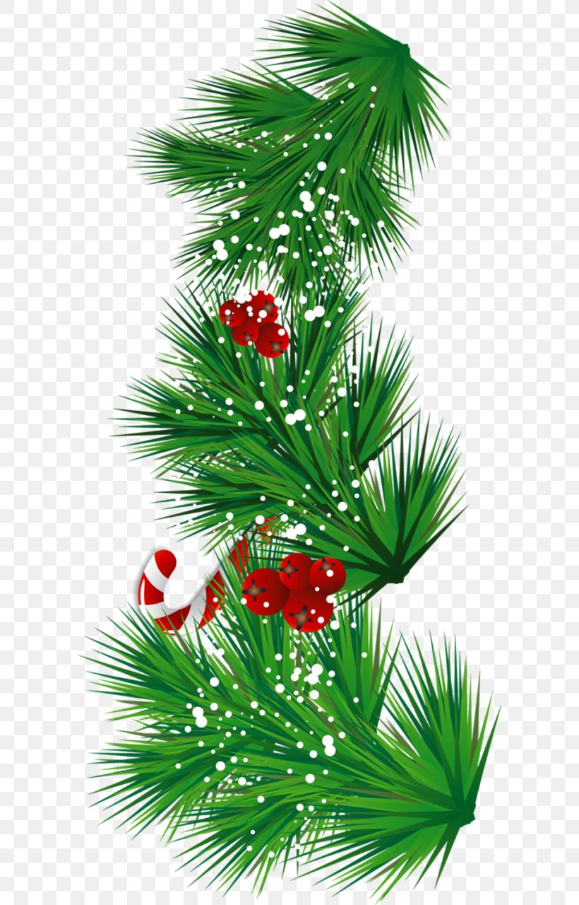 Candy Cane Mistletoe Christmas Clip Art, PNG, 600x1280px, Candy Cane, Arecales, Branch, Can Stock Photo, Christmas Download Free