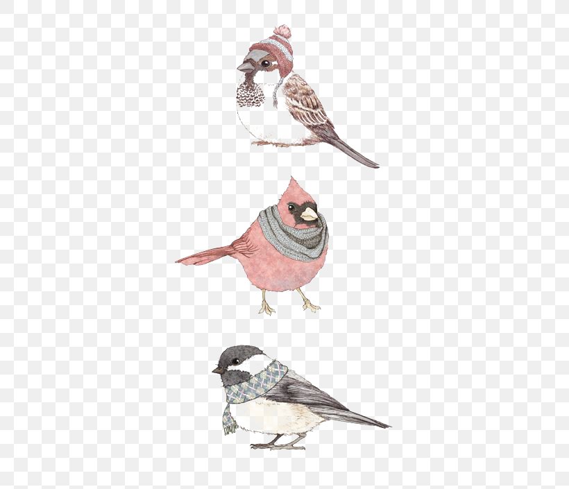 Birds, PNG, 500x705px, Bird, Animal, Art, Beak, Cartoon Download Free