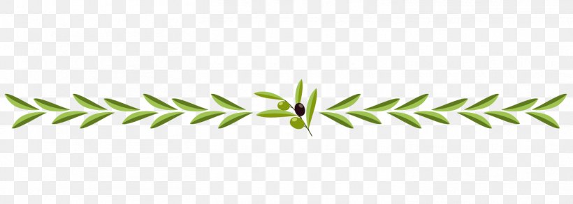 Line Grasses Angle Plant Stem, PNG, 1458x521px, Grasses, Branch, Branching, Family, Grass Download Free