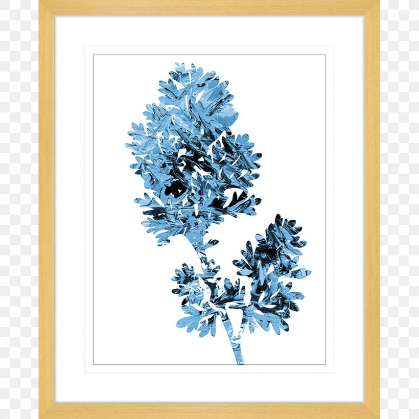 Picture Frames Winter Font, PNG, 1000x1000px, Picture Frames, Blue, Branch, Conifer, Flower Download Free