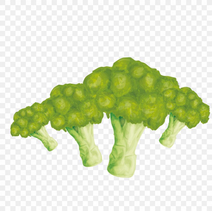 Vegetable Euclidean Vector Broccoli, PNG, 1600x1600px, Vegetable, Broccoli, Food, Fruit, Grape Download Free