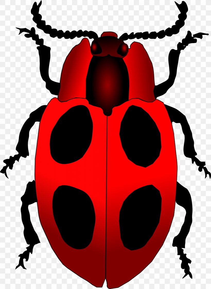 Ladybird Beetle Drawing Clip Art, PNG, 1756x2400px, Ladybird, Arthropod, Beetle, Brooch, Drawing Download Free