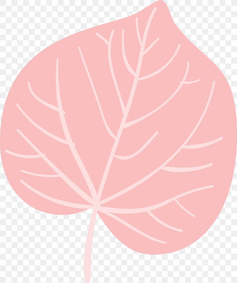 Leaf Pattern M-tree Tree Plants, PNG, 2506x3000px, Autumn Leaf, Biology, Colorful Leaf, Colorful Leaves, Colourful Foliage Download Free