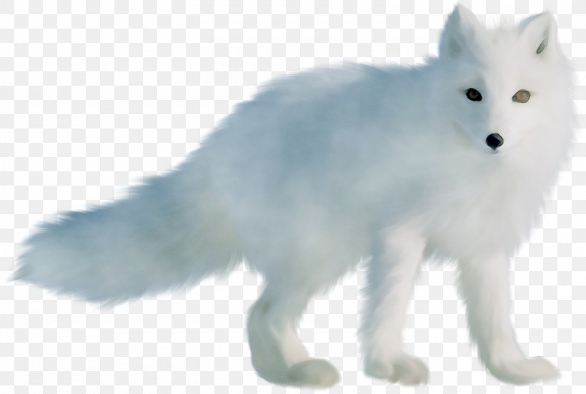 Arctic Fox Animal Figure Fox Snout Tail, PNG, 1500x1011px, Watercolor, Animal Figure, Arctic Fox, Fox, Fur Download Free