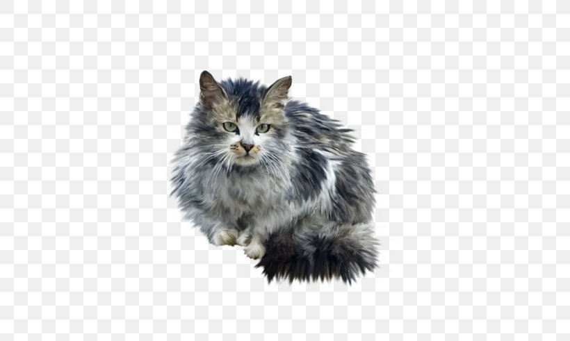 Norwegian Forest Cat Whiskers, PNG, 600x491px, Norwegian Forest Cat, Animal, Animation, Carnivoran, Cat Download Free