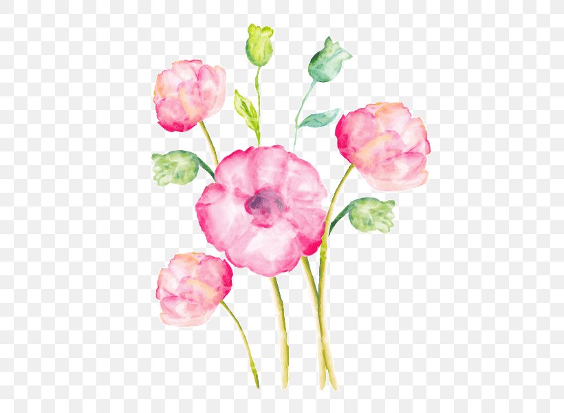 Watercolor Painting Drawing Clip Art, PNG, 600x600px, Watercolor Painting, Art, Blossom, Bud, Color Download Free
