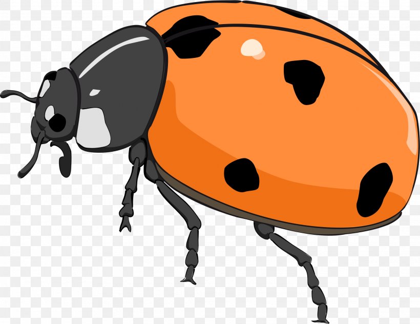 Beetle Ladybird Clip Art, PNG, 2233x1723px, Beetle, Artwork, Cartoon, Dung Beetle, Firefly Download Free