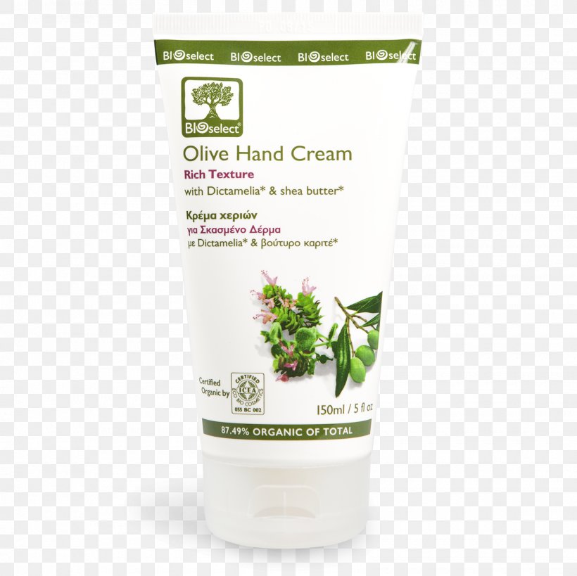 Lotion Sunscreen Cream Shea Butter Olive, PNG, 1600x1600px, Lotion, Butter, Cream, Hand, Herbal Download Free