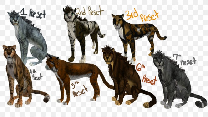 Dog Breed Cat Tail, PNG, 900x506px, Dog Breed, Breed, Carnivoran, Cat, Cat Like Mammal Download Free