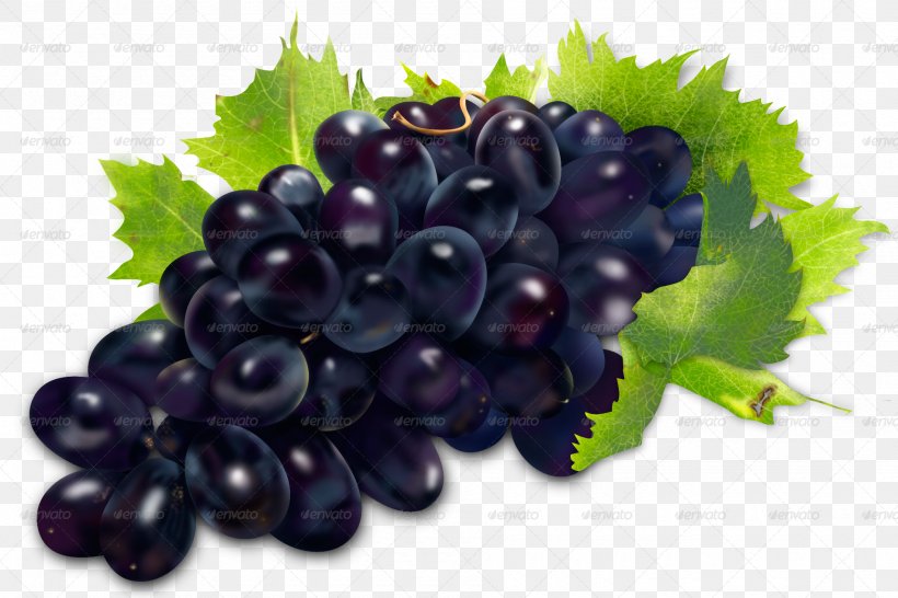 Sultana Zante Currant Grapevines Seedless Fruit, PNG, 1900x1267px, Sultana, Berry, Bilberry, Blackcurrant, Blueberry Download Free