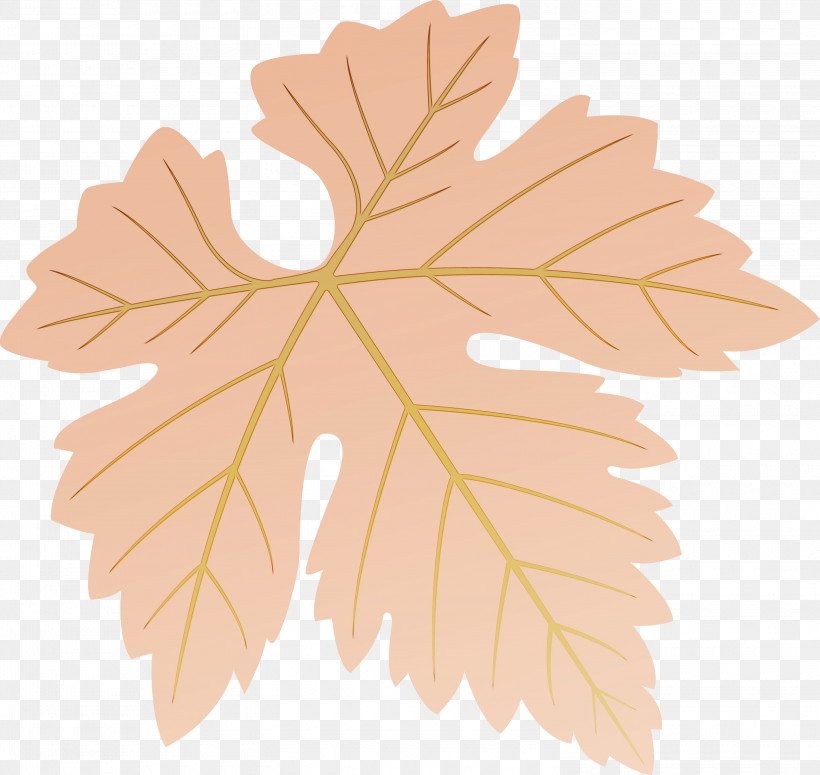 Maple Leaf, PNG, 3000x2836px, Grapes Leaf, Black Maple, Flower, Grape Leaves, Leaf Download Free