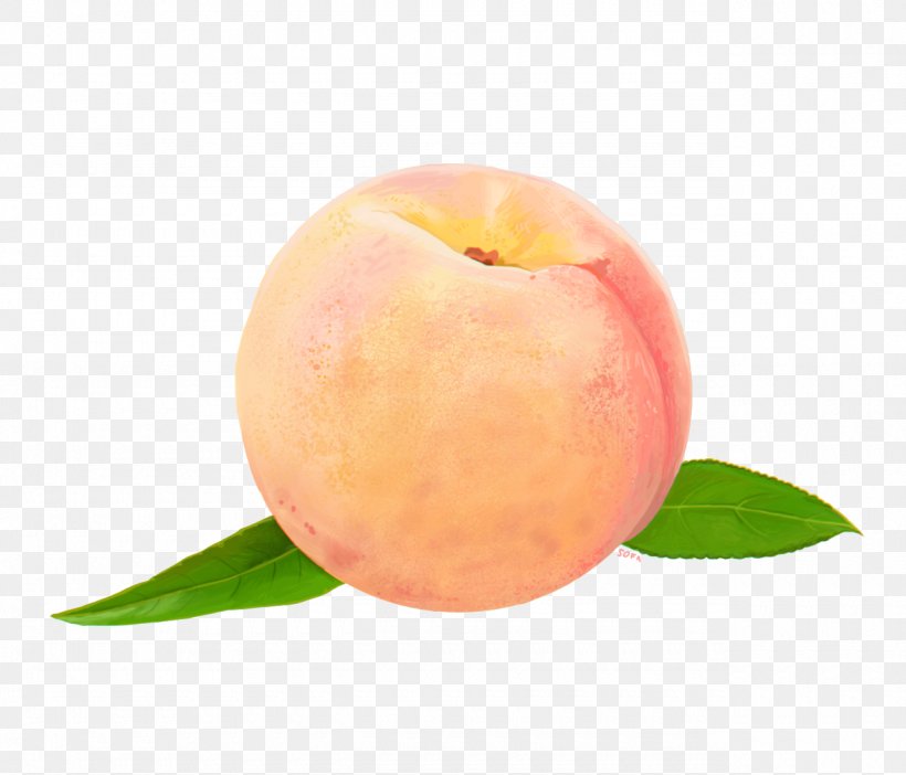 Peach Food Clip Art, PNG, 1280x1096px, Peach, Apple, Art, Blog, Food Download Free