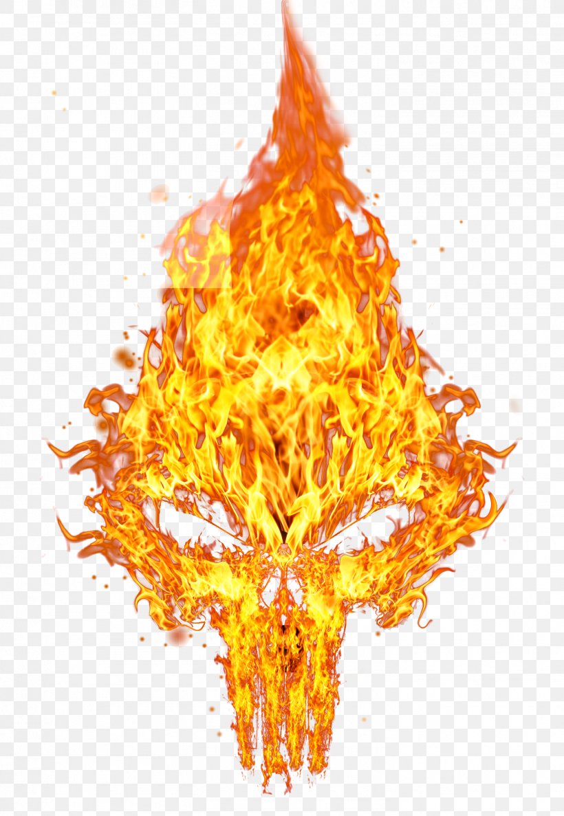 Punisher Desktop Wallpaper Human Skull Symbolism, PNG, 1456x2108px, Punisher, Color, Computer, Fire, Flame Download Free