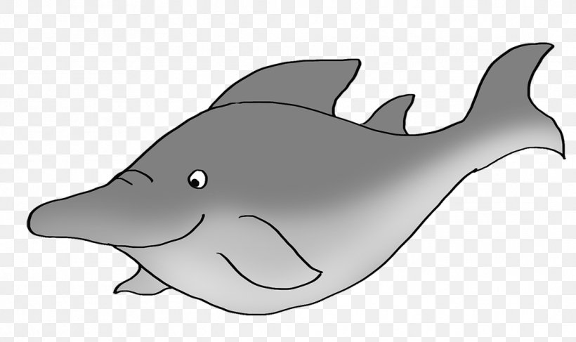 Tucuxi Drawing Cartoon Shark Clip Art, PNG, 1063x632px, Tucuxi, Animal, Cartoon, Clownfish, Dolphin Download Free