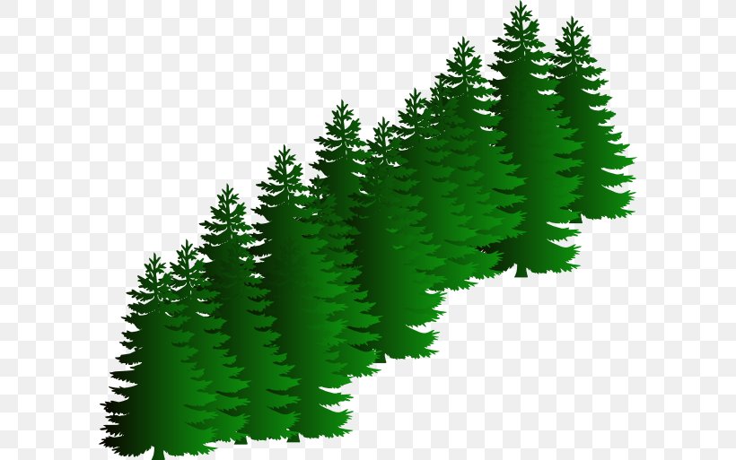 Evergreen Tree Pine Clip Art, PNG, 600x513px, Evergreen, Artificial Christmas Tree, Biome, Branch, Christmas Tree Download Free