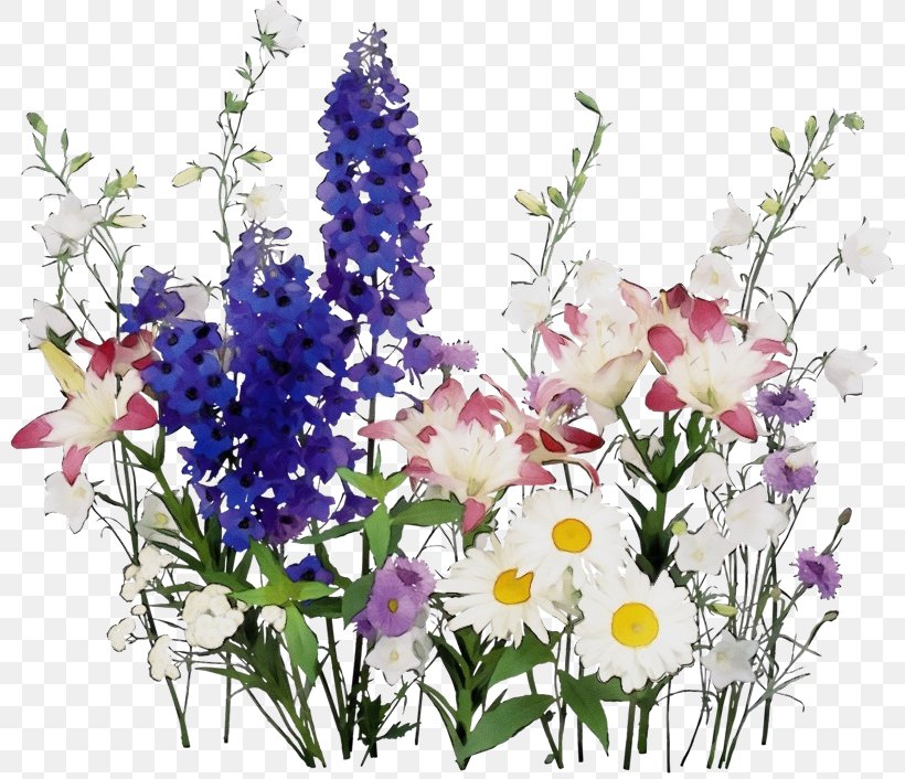 Flower Plant Cut Flowers Bouquet Delphinium, PNG, 800x706px, Watercolor, Bouquet, Cut Flowers, Delphinium, Floristry Download Free