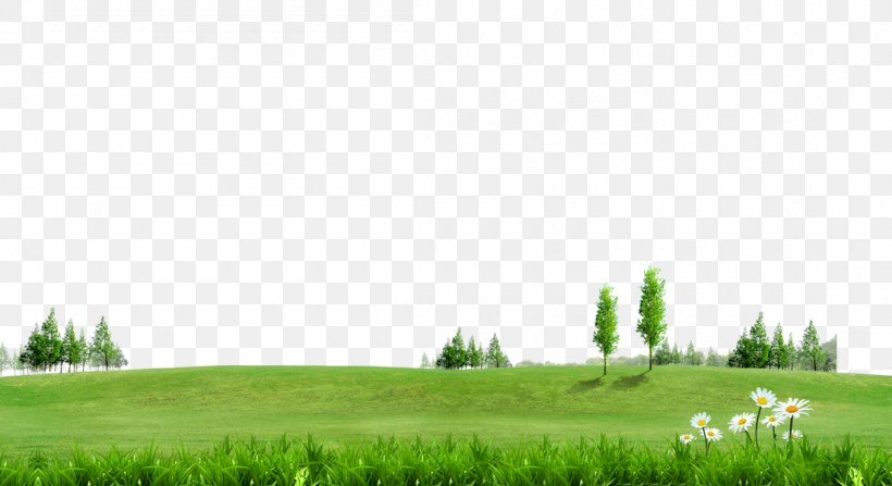 Fundal Information, PNG, 1100x600px, Fundal, Energy, Grass, Grass Family, Grassland Download Free