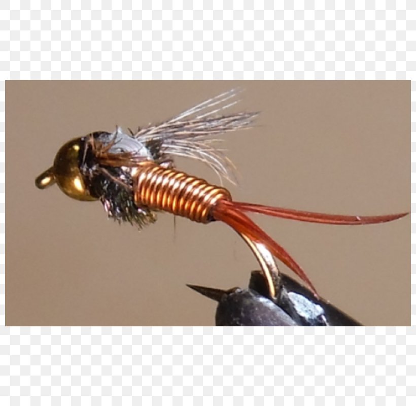 Insect Artificial Fly, PNG, 800x800px, Insect, Artificial Fly, Fishing Bait, Membrane Winged Insect, Pest Download Free