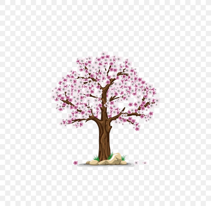 Clip Art Cherry Blossom Tree, PNG, 800x800px, Blossom, Apple, Apples, Botany, Branch Download Free