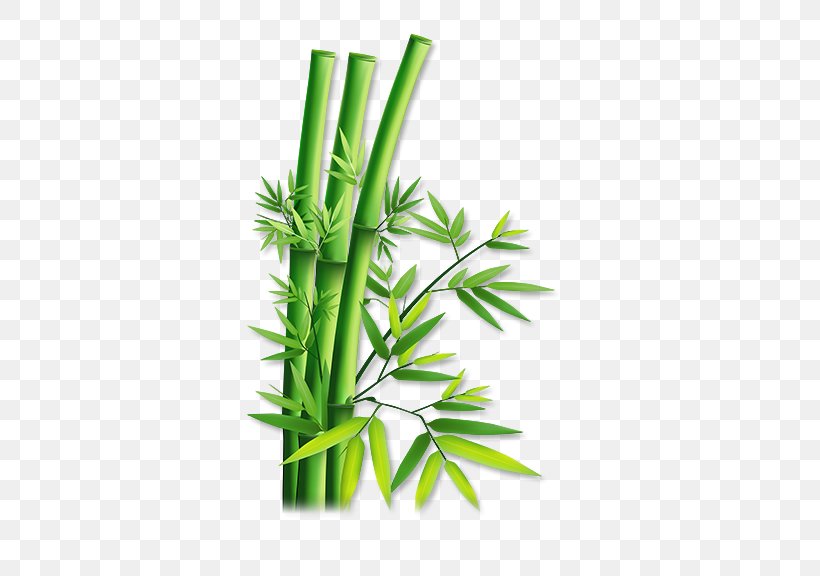 Hemp, PNG, 576x576px, Hemp, Bamboo, Grass, Herb, Plant Stem Download Free