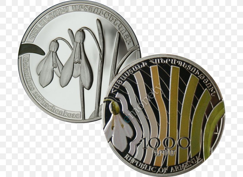 Silver Coin Silver Coin Proof Coinage Dollar Coin, PNG, 700x600px, Silver, Armenia, Coin, Commemorative Coin, Dollar Coin Download Free