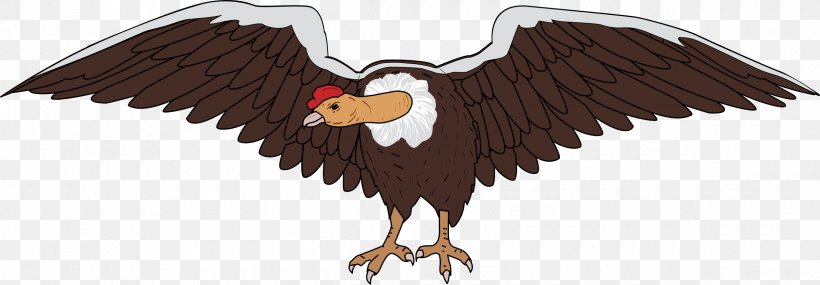 Andean Condor Bird Vulture Clip Art, PNG, 2400x837px, Condor, Accipitriformes, Andean Condor, Animal Figure, Bald Eagle Download Free