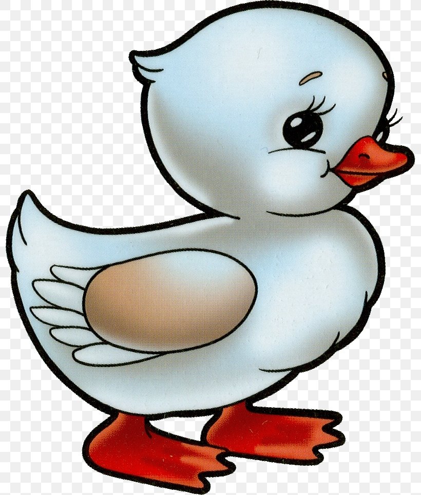 Cartoon Bird Beak Duck Ducks, Geese And Swans, PNG, 798x964px, Cartoon, Beak, Bird, Duck, Ducks Geese And Swans Download Free