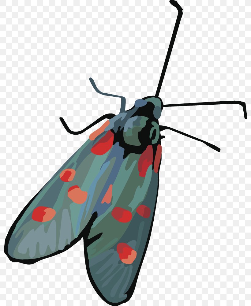 Insect Butterfly Moth, PNG, 794x1000px, Insect, Arthropod, Butterfly, Dragonfly, Invertebrate Download Free