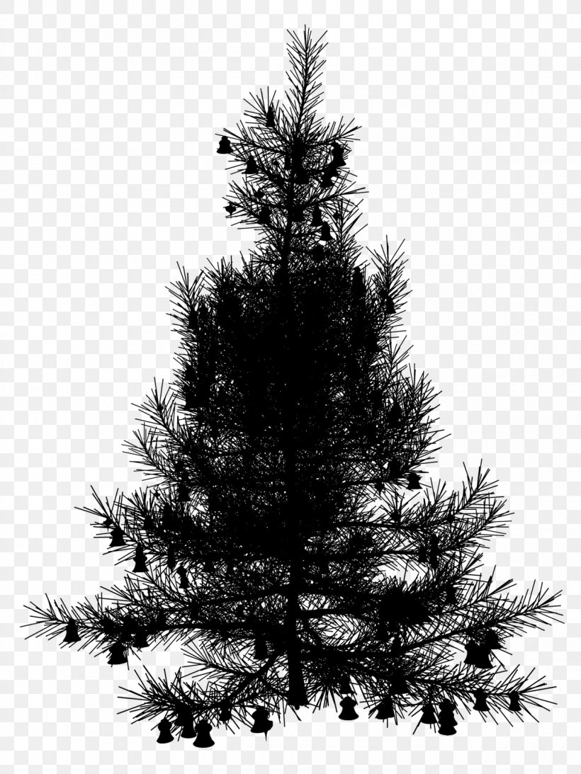 Spruce Christmas Tree Christmas Ornament Christmas Day Fir, PNG, 1200x1600px, Spruce, American Larch, Balsam Fir, Blackandwhite, Branch Download Free