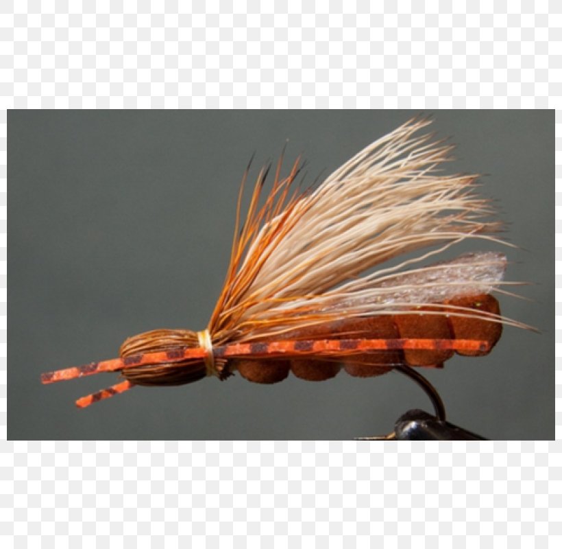 Artificial Fly Insect, PNG, 800x800px, Artificial Fly, Fishing Bait, Fishing Lure, Fly, Insect Download Free