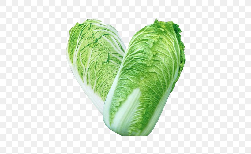 Chinese Cuisine Chinese Cabbage Vegetable Broccoli, PNG, 508x504px, Chinese Cuisine, Broccoli, Cabbage, Cauliflower, Chinese Cabbage Download Free