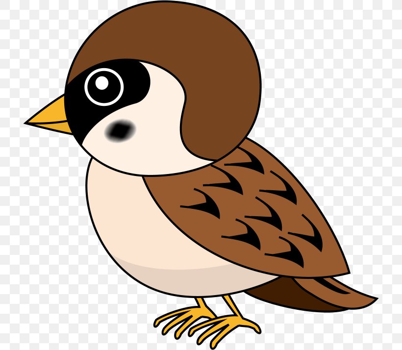 Eurasian Tree Sparrow Duck Bird Clip Art, PNG, 726x714px, Sparrow, Art, Artwork, Beak, Bird Download Free