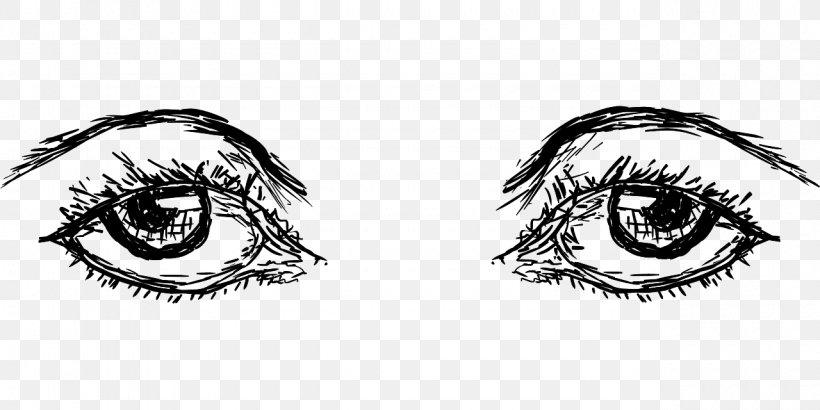 Eyebrow Human Eye Drawing, PNG, 1280x640px, Watercolor, Cartoon, Flower, Frame, Heart Download Free