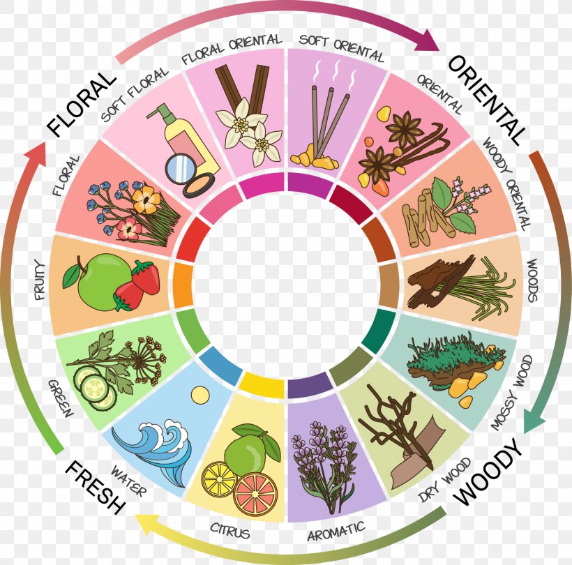 Perfume Fragrance Wheel Aroma Compound Fragrance Oil Note, PNG, 1539x1522px, Perfume, Agarwood, Area, Aroma Compound, Cosmetics Download Free