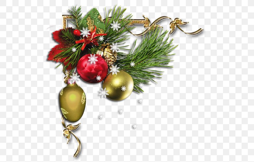 Christmas Ornament Espectrofotòmetre New Year Tree Toy, PNG, 538x522px, Christmas Ornament, Christmas, Christmas Decoration, Decor, Evergreen Download Free