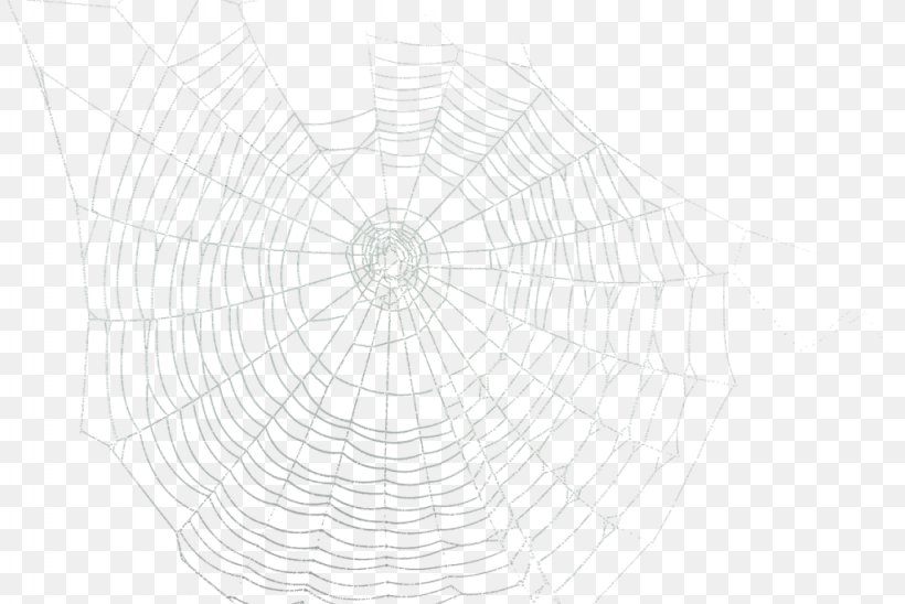 Spider Web Circle Point Pattern, PNG, 1024x685px, Spider Web, Area, Black And White, Drawing, Invertebrate Download Free
