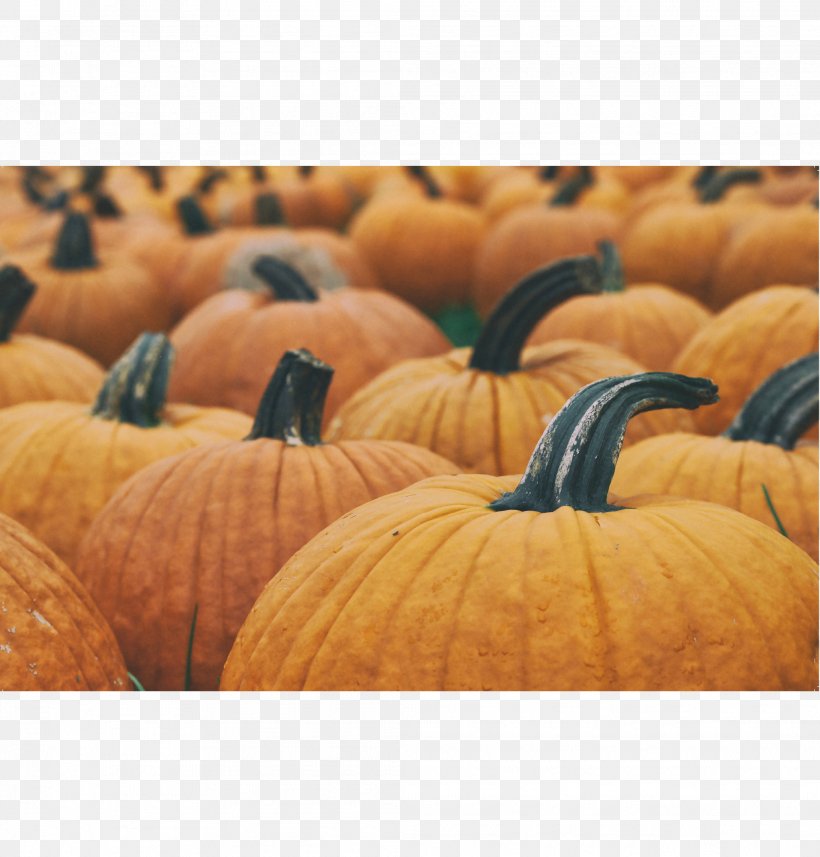 New Hampshire Pumpkin Festival Pumpkin Pie Jack-o'-lantern Cucurbita Maxima, PNG, 2083x2179px, New Hampshire Pumpkin Festival, Autumn, Calabaza, Carving, Cucurbita Download Free