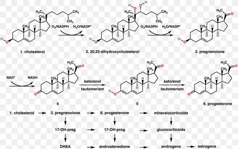Progesterone Progestin Hormone Estrogen Chemical Synthesis, PNG, 2249x1408px, Watercolor, Cartoon, Flower, Frame, Heart Download Free
